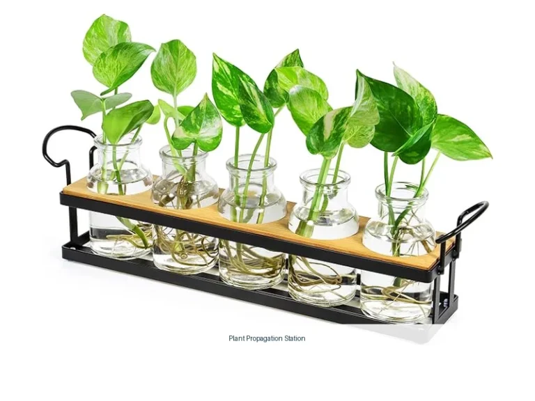 plant propagation station