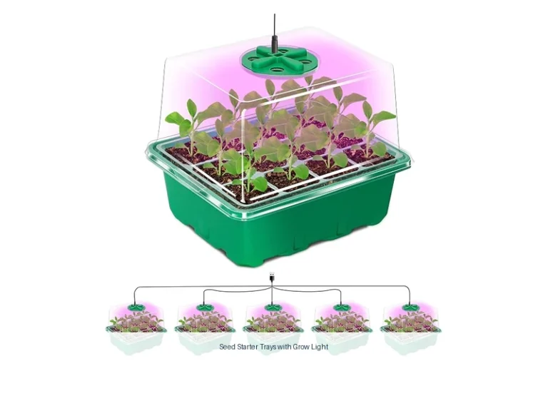 seed starter trays with grow light