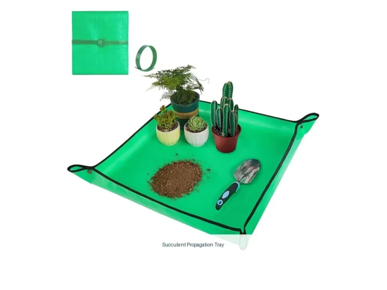 succulent propagation tray