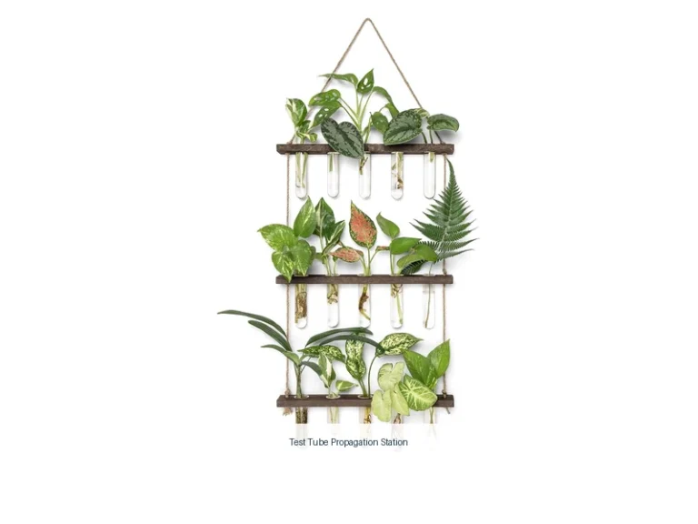 test tube propagation station