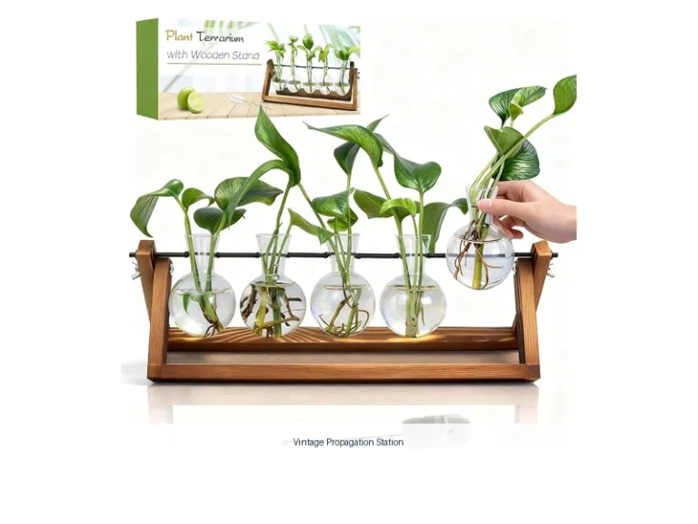 vintage propagation station