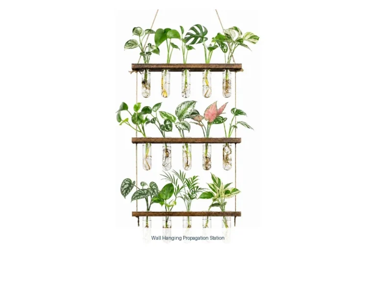 wall hanging propagation station
