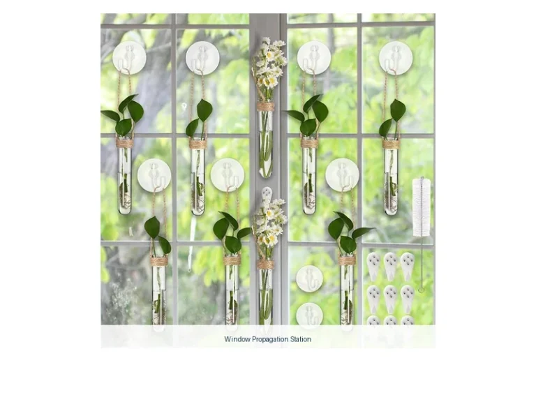 window propagation station