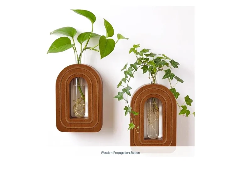 wooden propagation station